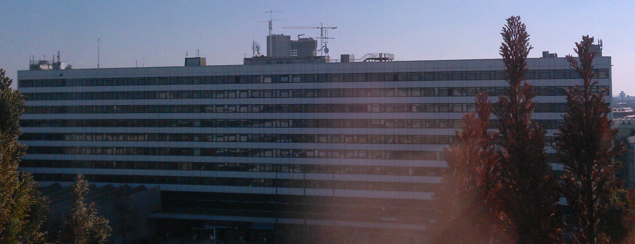 Baukräne über dem Contest-Anbau